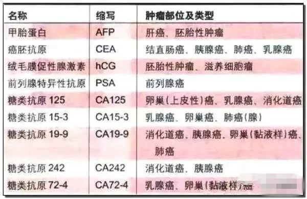 标志物3.jpg 标志物3.jpg