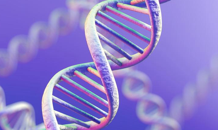 52%肿瘤消失、100%病情受控！劲方医药KRAS新药获FDA快速通道